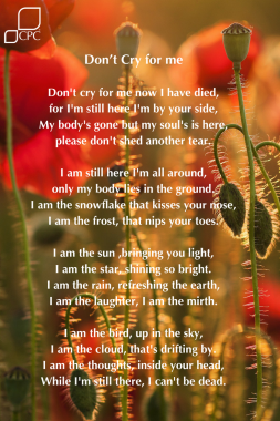 Rachel  Memorial Video