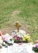 lauras grave with her two big sisters
