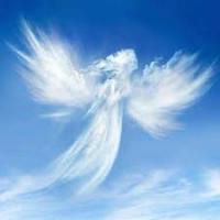 Nga Le's Online Memorial Photo